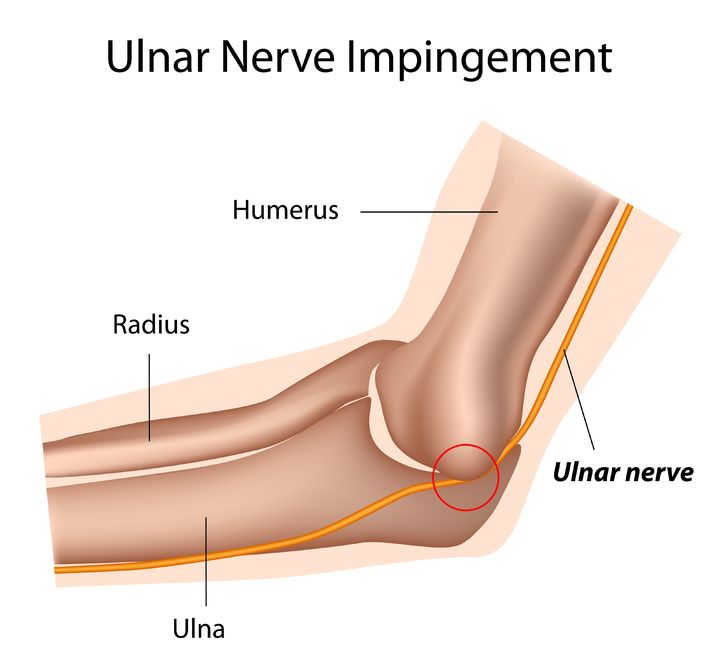 ulnar nerve ulnar nerve